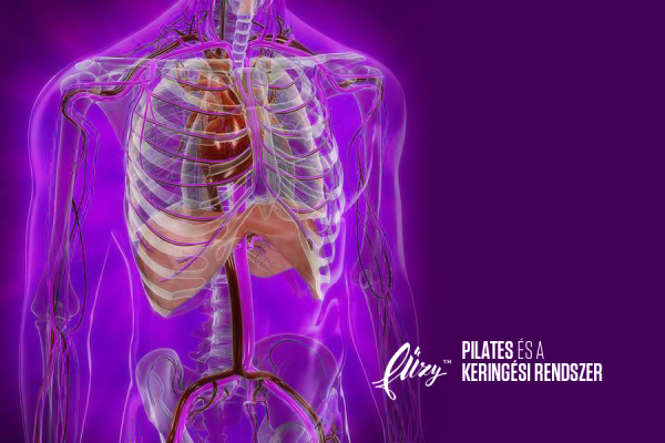 12341603_543522482481486_3043757543039628280_n 